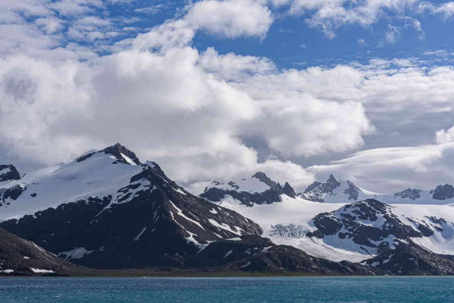 Islas Georgias del Sur 085.jpg